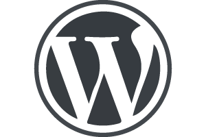 Providing limited customization on WordPress website